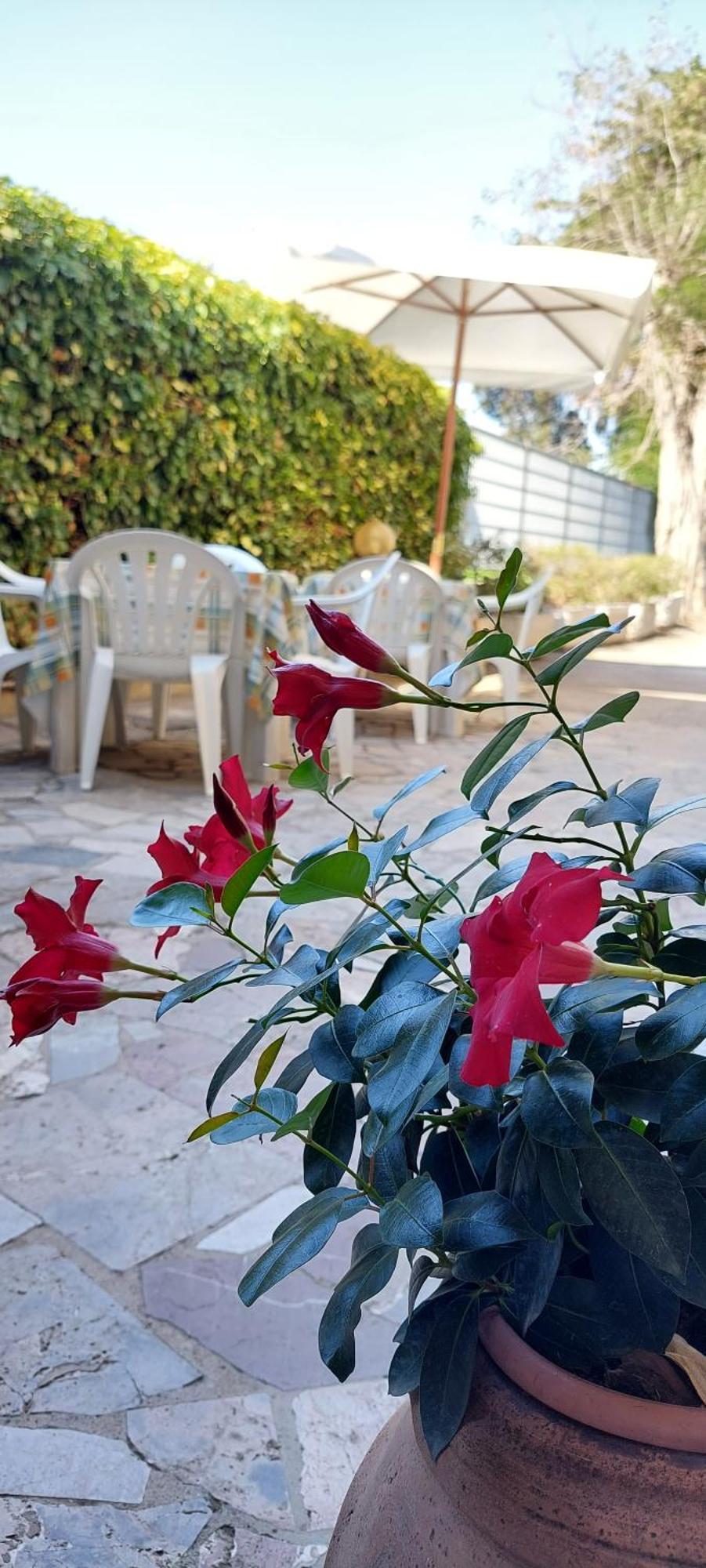Hotel Lea Grosseto Luaran gambar